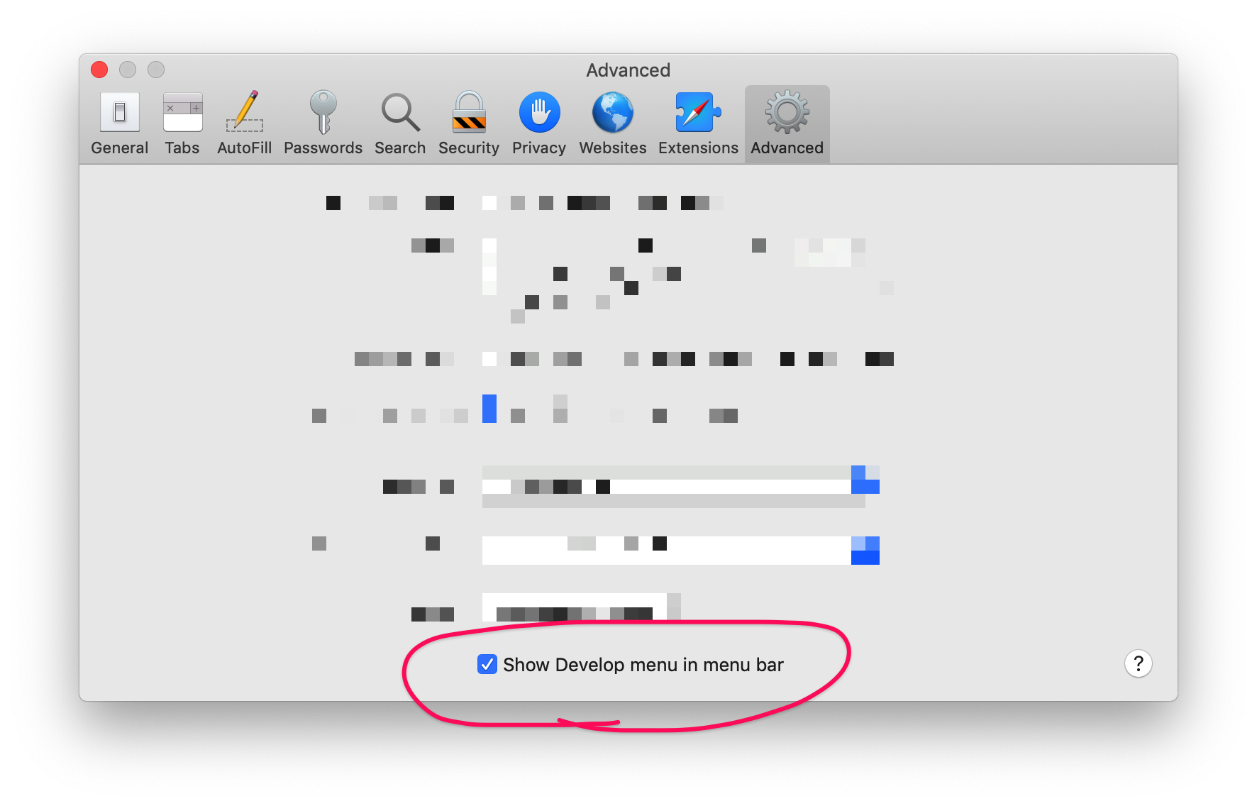 The Safari 'advanced' options, showing a checkmark labeled “Show Develop menu in menubar”.